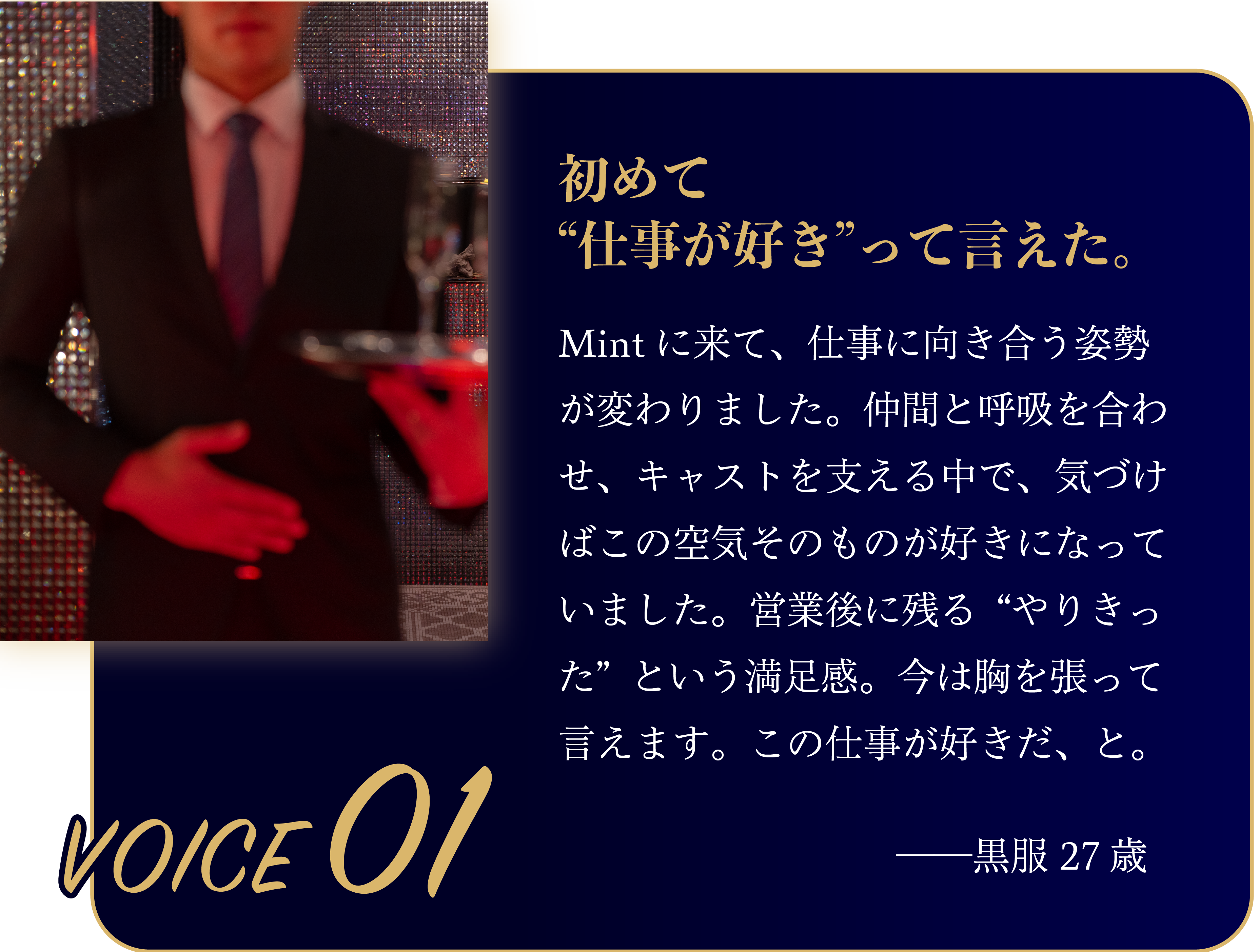 VOICE01